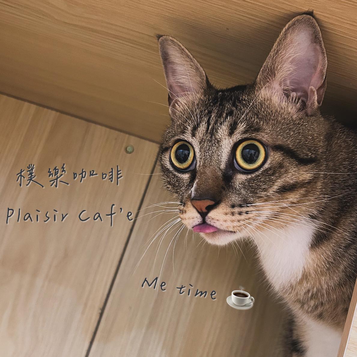 有位喵店長 多多